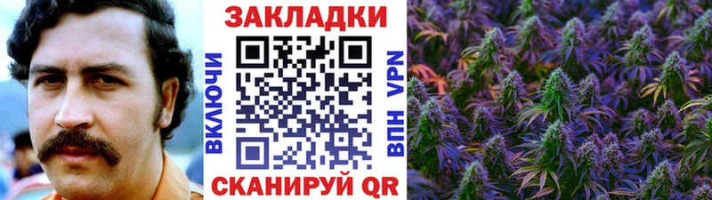 Виды наркотиков купить Динская Кокаин  Меф мяу мяу  ГАШИШ  Псилоцибиновые грибы  Марихуана  A PVP 