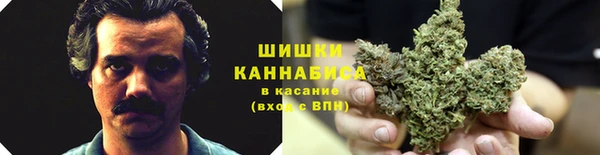 сатива Нефтегорск