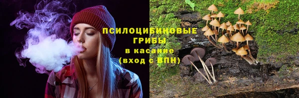 крисы Нефтекумск