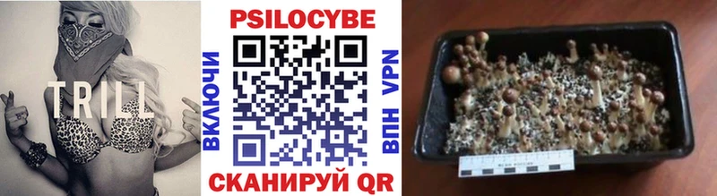 наркота  shop состав  Псилоцибиновые грибы GOLDEN TEACHER  Динская 